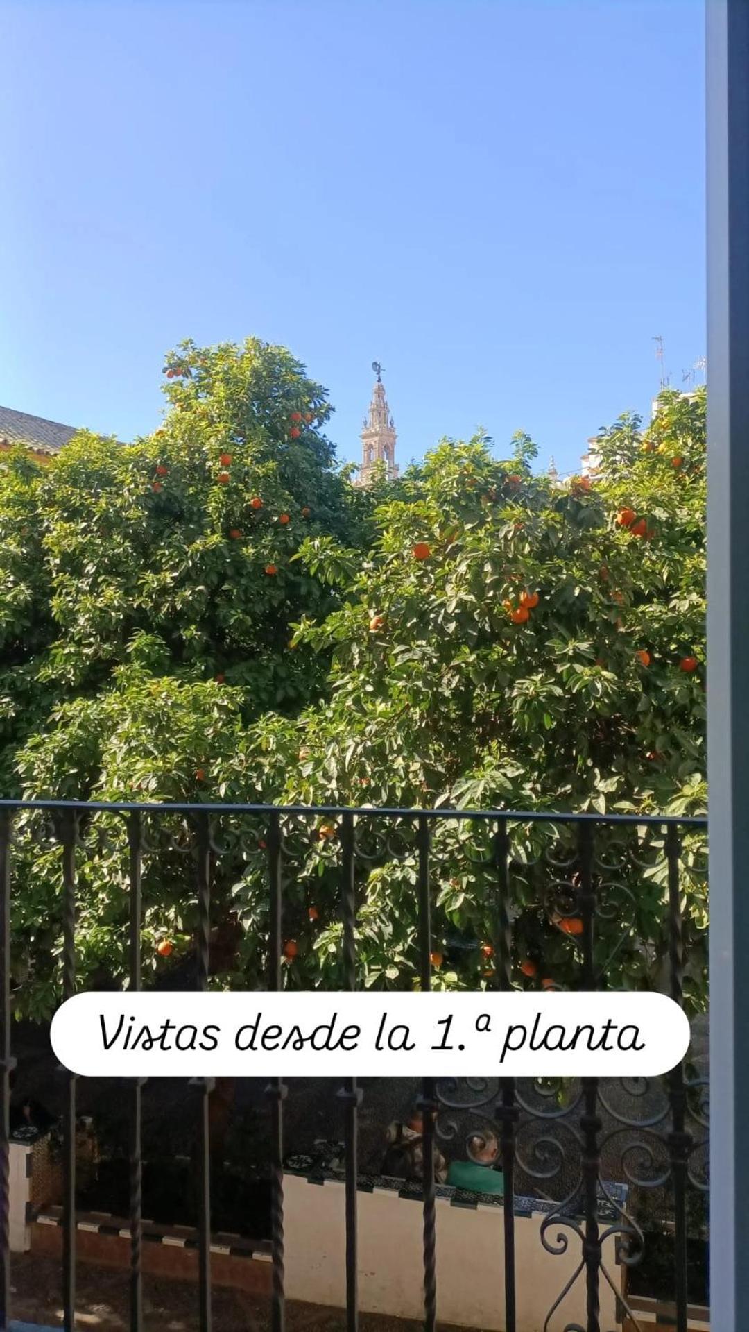 Apartamentos En La Plaza Dona Elvira, 7 セビリア エクステリア 写真